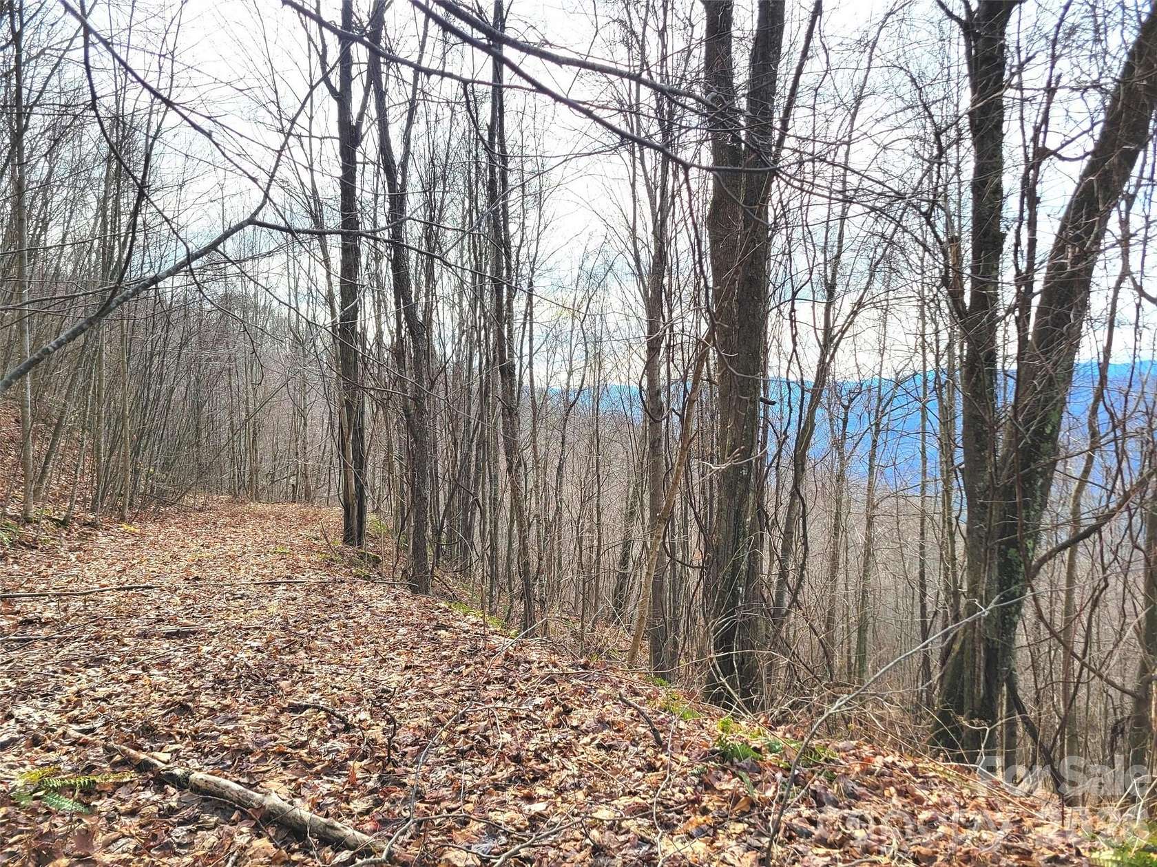 1.22 Acres of Residential Land for Sale in Clyde, North Carolina