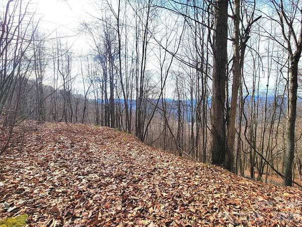 1.22 Acres of Residential Land for Sale in Clyde, North Carolina