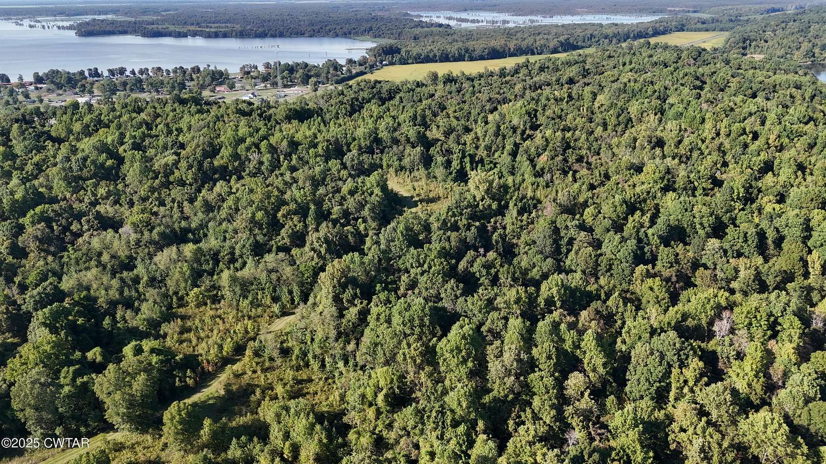 66.8 Acres of Recreational Land for Sale in Hornbeak, Tennessee