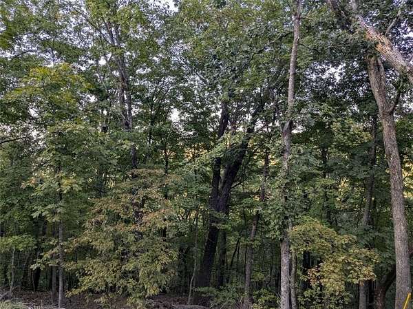 0.3 Acres of Residential Land for Sale in Holiday Island, Arkansas