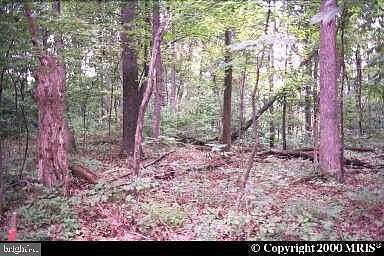 2.2 Acres of Residential Land for Sale in Shepherdstown, West Virginia