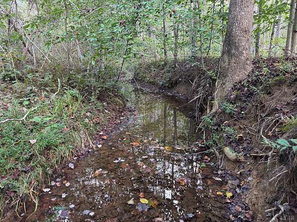 9.29 Acres of Land for Sale in Shipman, Virginia