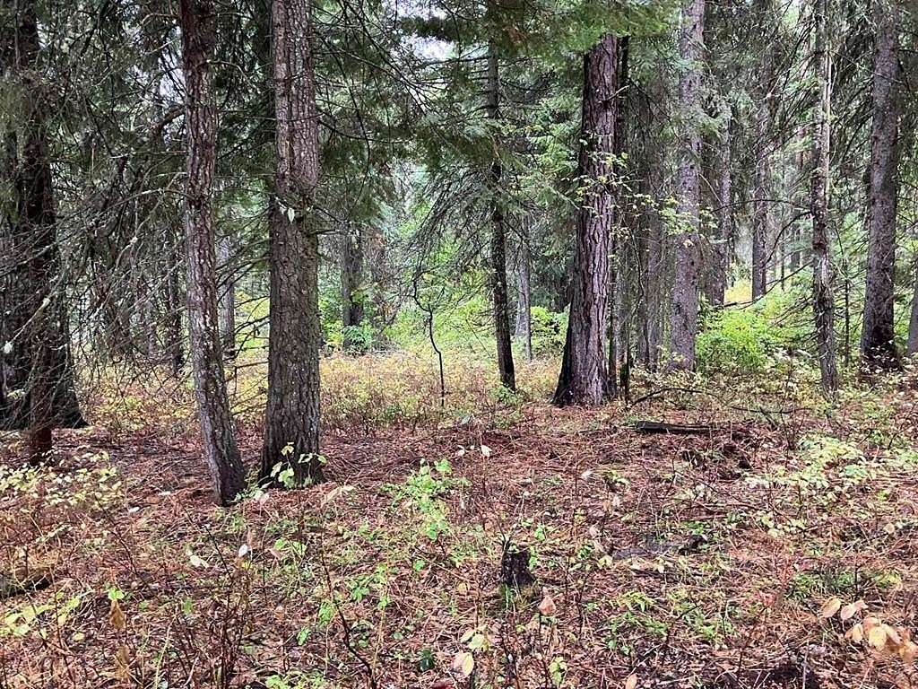 0.9 Acres of Land for Sale in Donnelly, Idaho
