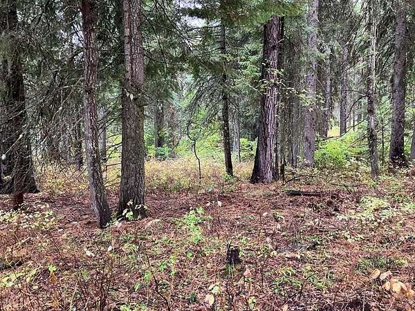 0.9 Acres of Land for Sale in Donnelly, Idaho
