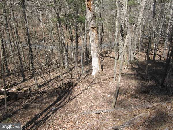0.29 Acres of Land for Sale in Mount Jackson, Virginia
