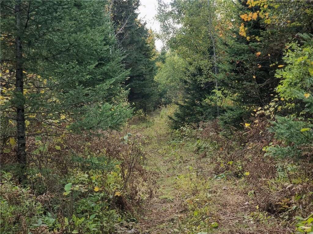 78.8 Acres of Recreational Land for Sale in Butternut, Wisconsin