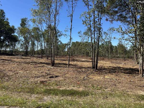 19.8 Acres of Land for Sale in Pomaria, South Carolina