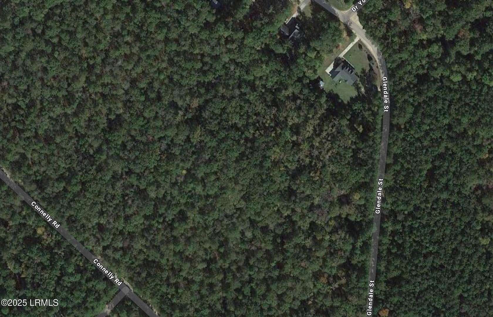 5.37 Acres of Residential Land for Sale in Hampton, South Carolina
