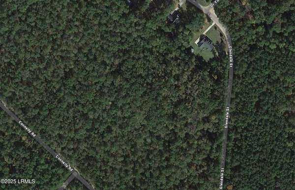 5.37 Acres of Residential Land for Sale in Hampton, South Carolina
