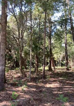 0.75 Acres of Residential Land for Sale in Bluffton, South Carolina