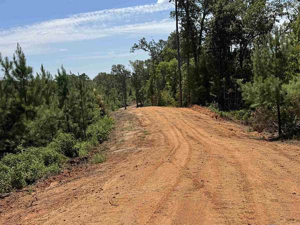 30 Acres of Recreational Land for Sale in Johnsville, Arkansas