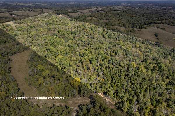 76 Acres of Recreational Land for Sale in Owingsville, Kentucky
