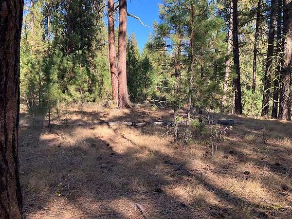 2 Acres of Land for Sale in Cascade, Idaho