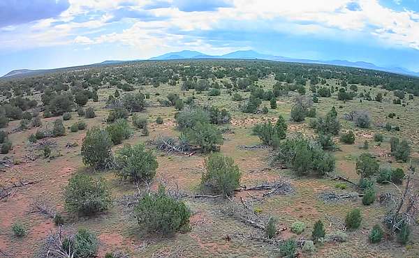 10 Acres of Residential Land for Sale in Williams, Arizona