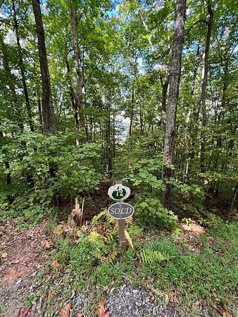 Residential Land for Sale in Murphy, North Carolina