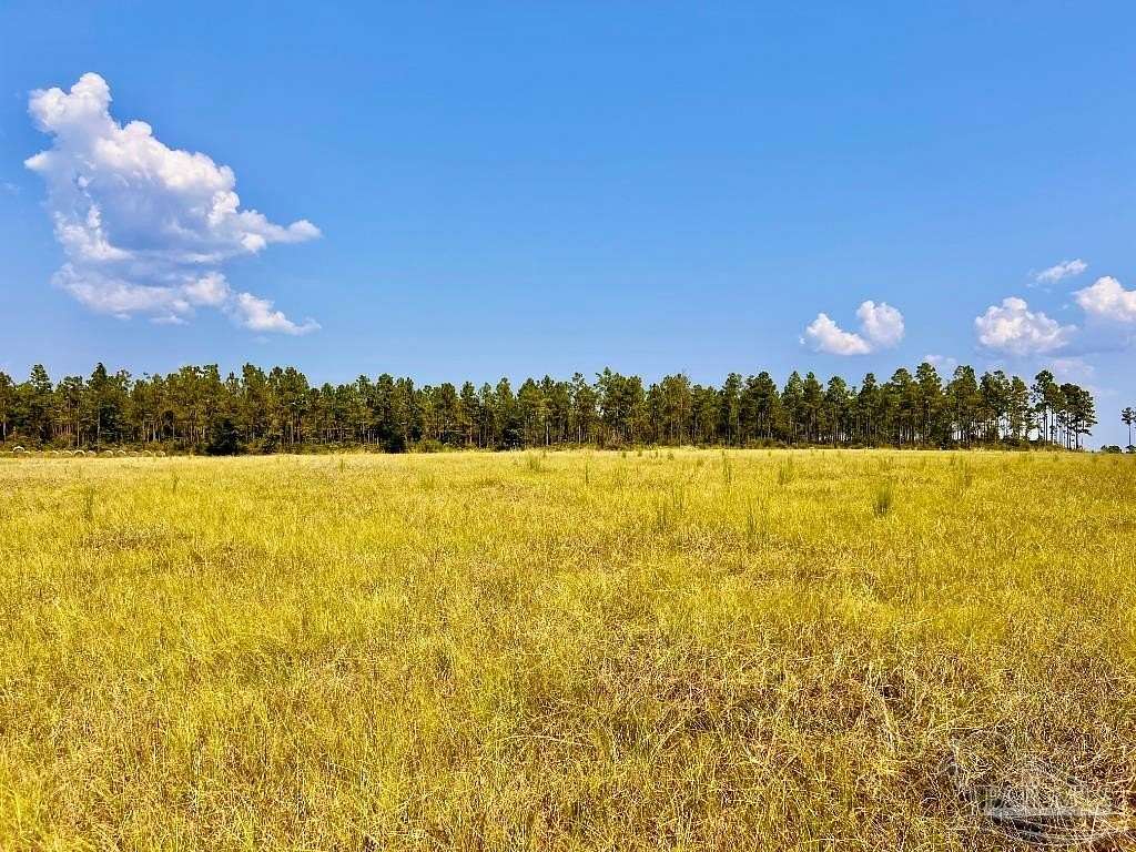 4.34 Acres of Residential Land for Sale in Molino, Florida