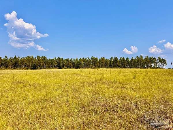 4.34 Acres of Residential Land for Sale in Molino, Florida