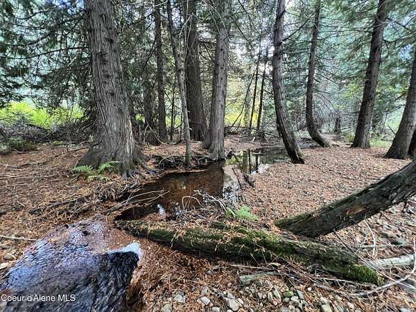 3 Acres of Residential Land for Sale in Kingston, Idaho