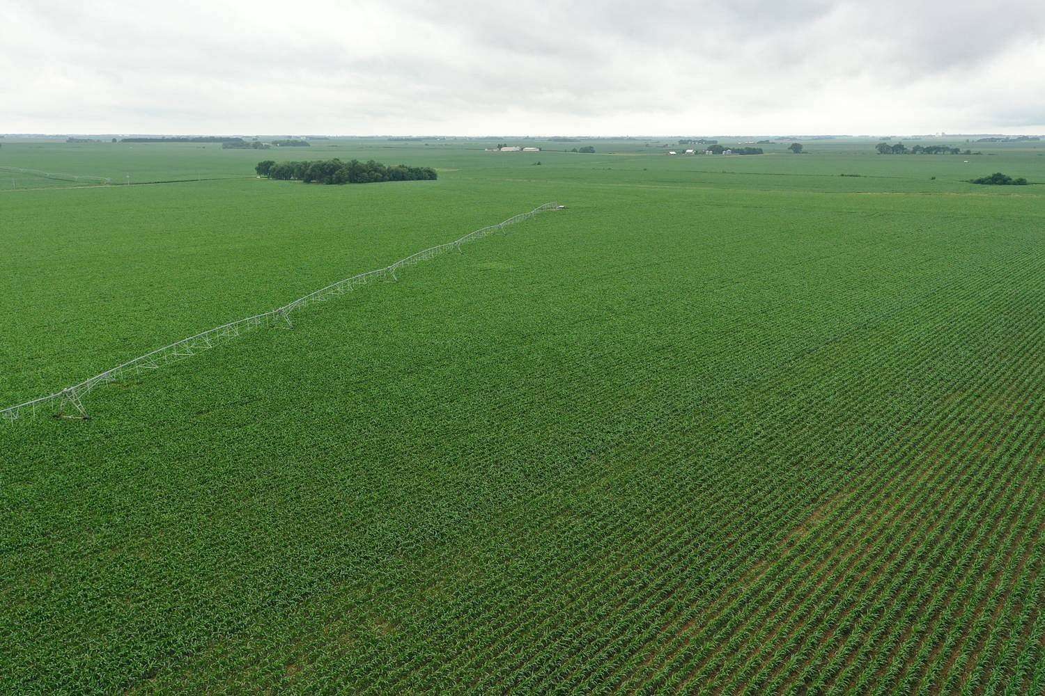158 Acres of Agricultural Land for Sale in Polk, Nebraska