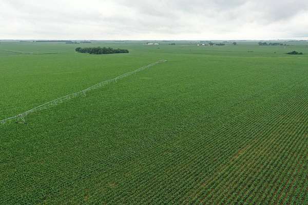 158 Acres of Agricultural Land for Sale in Polk, Nebraska