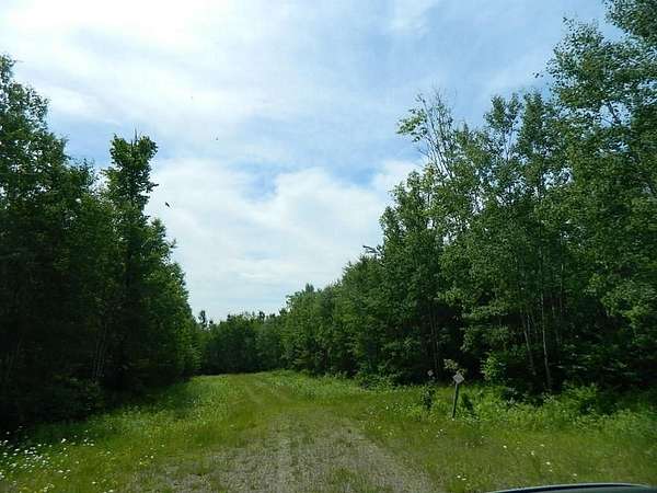 27.2 Acres of Recreational & Residential Land for Sale in Winter, Wisconsin
