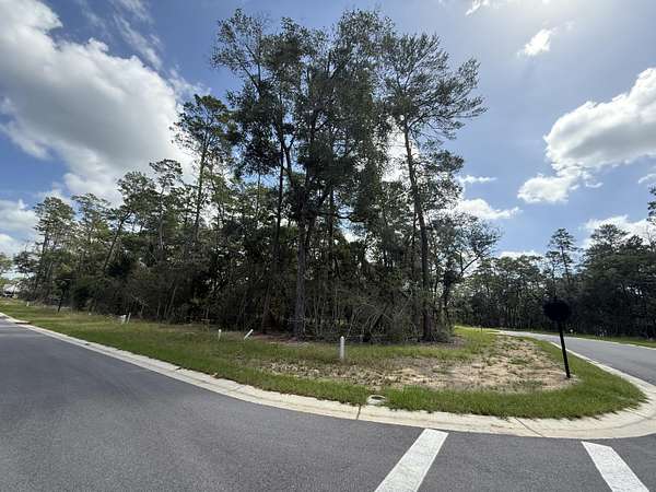 0.17 Acres of Mixed-Use Land for Sale in Niceville, Florida