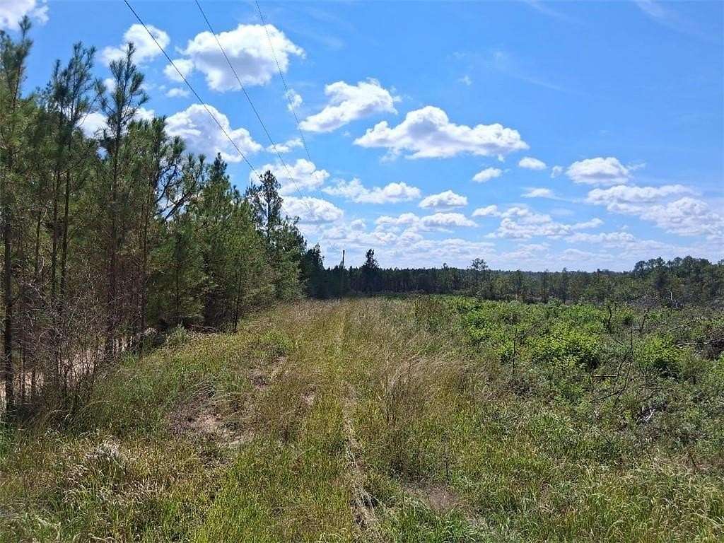 13.4 Acres of Land for Sale in Citronelle, Alabama
