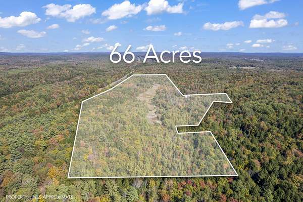 66 Acres of Recreational Land for Sale in Bowdoinham, Maine