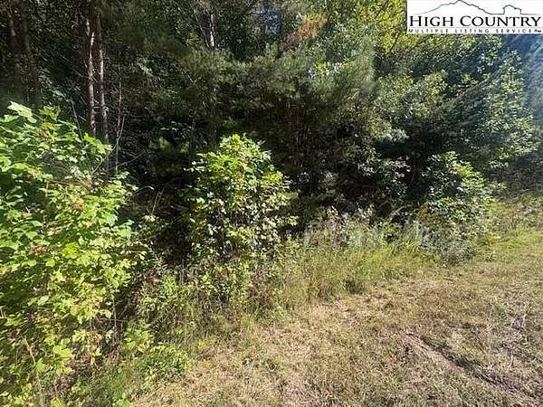 10.5 Acres of Recreational Land for Sale in Purlear, North Carolina