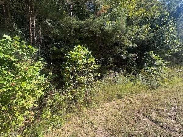 10.5 Acres of Recreational & Residential Land for Sale in Purlear, North Carolina
