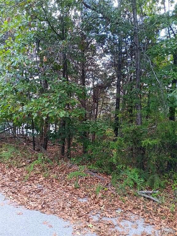 0.24 Acres of Residential Land for Sale in Hillsboro, Missouri