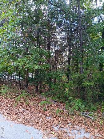 0.24 Acres of Residential Land for Sale in Hillsboro, Missouri