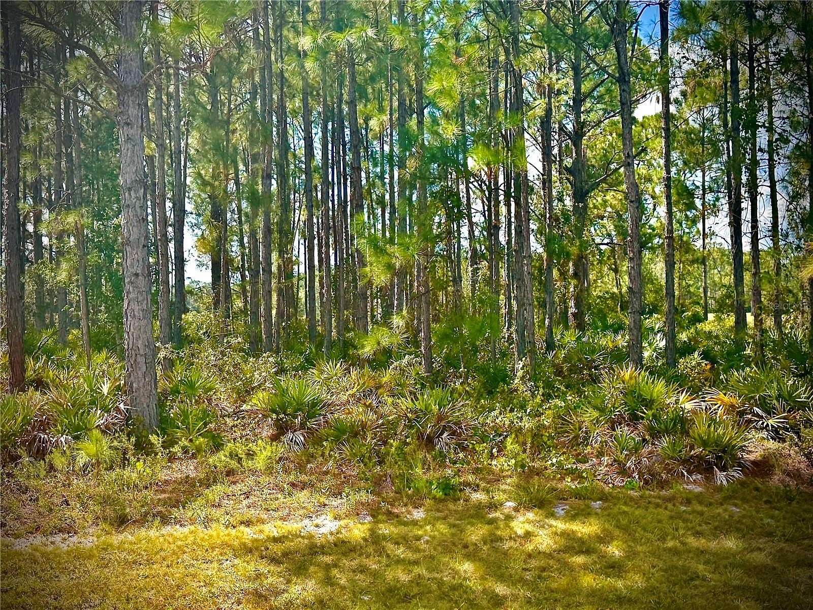 0.92 Acres of Residential Land for Sale in Frostproof, Florida
