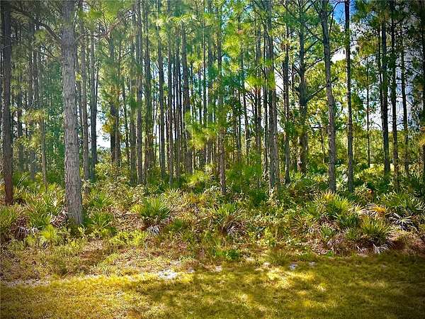 0.92 Acres of Residential Land for Sale in Frostproof, Florida