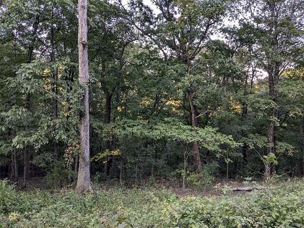 0.29 Acres of Residential Land for Sale in Holiday Island, Arkansas