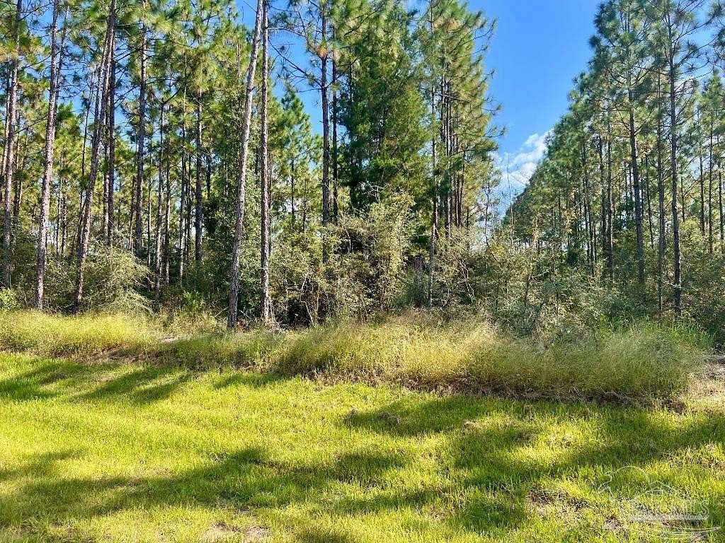 4.33 Acres of Residential Land for Sale in Molino, Florida