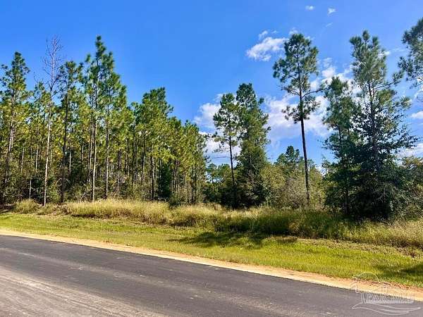 4.33 Acres of Residential Land for Sale in Molino, Florida