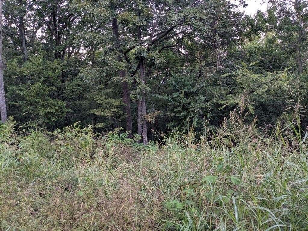 1 Acre of Residential Land for Sale in Holiday Island, Arkansas