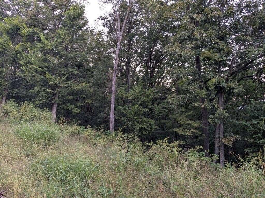 1 Acre of Residential Land for Sale in Holiday Island, Arkansas