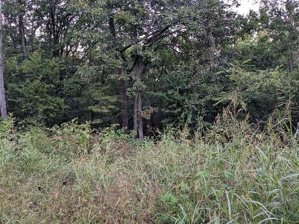 1 Acre of Residential Land for Sale in Holiday Island, Arkansas