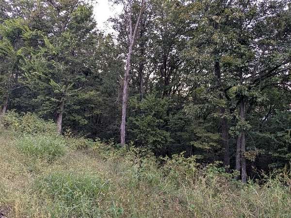 1 Acre of Residential Land for Sale in Holiday Island, Arkansas