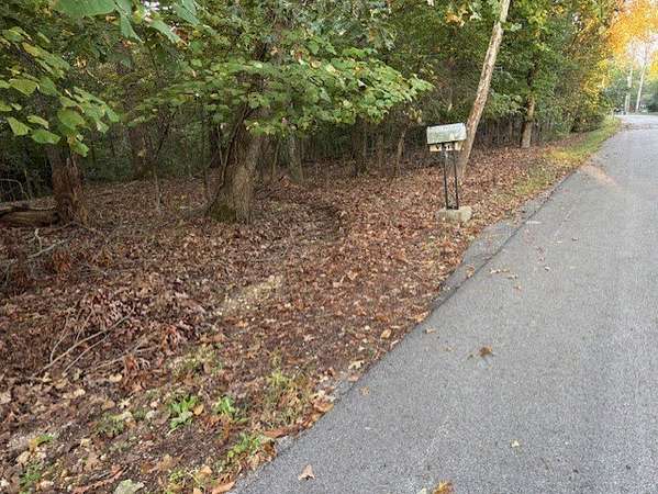 0.5 Acres of Residential Land for Sale in Bella Vista, Arkansas