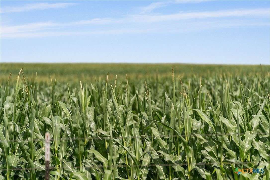 250 Acres of Agricultural Land for Sale in Moody, Texas