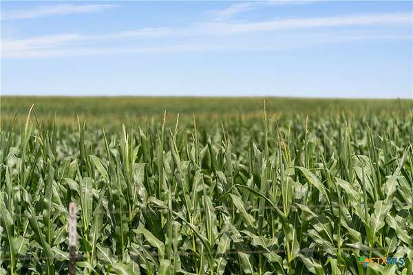 250 Acres of Agricultural Land for Sale in Moody, Texas