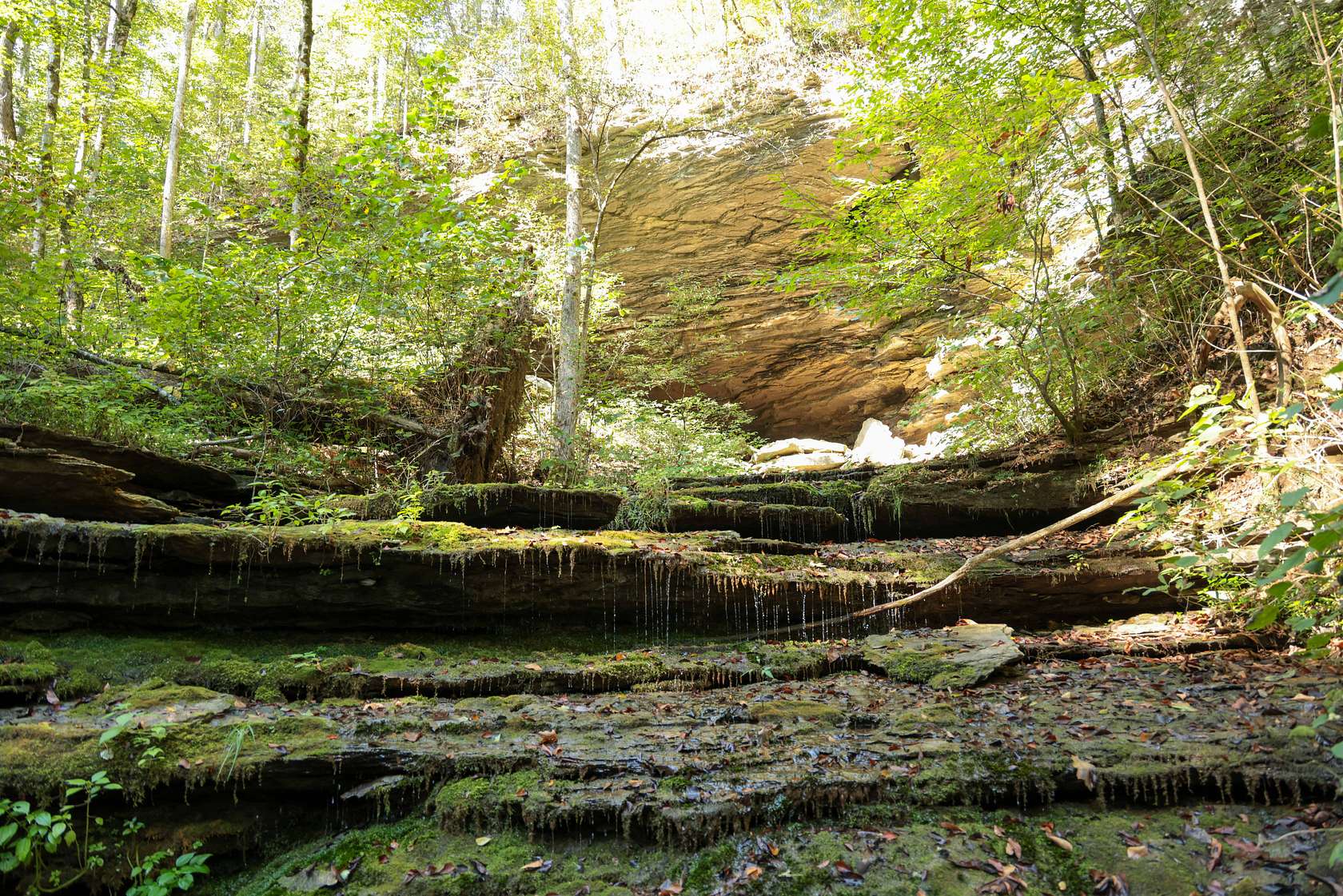 131 Acres of Land with Home for Sale in Monroe, Tennessee