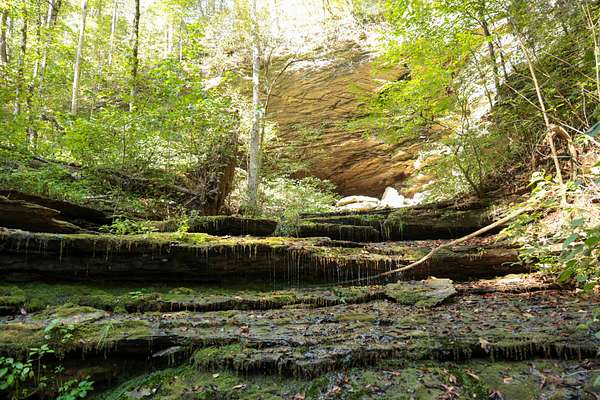 131 Acres of Land with Home for Sale in Monroe, Tennessee