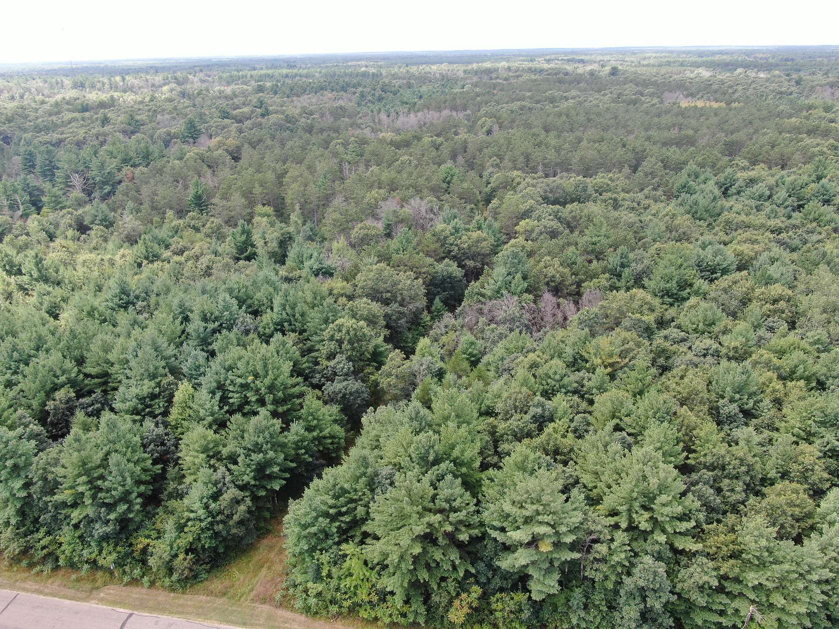 80 Acres of Recreational Land & Farm for Sale in Arkdale, Wisconsin