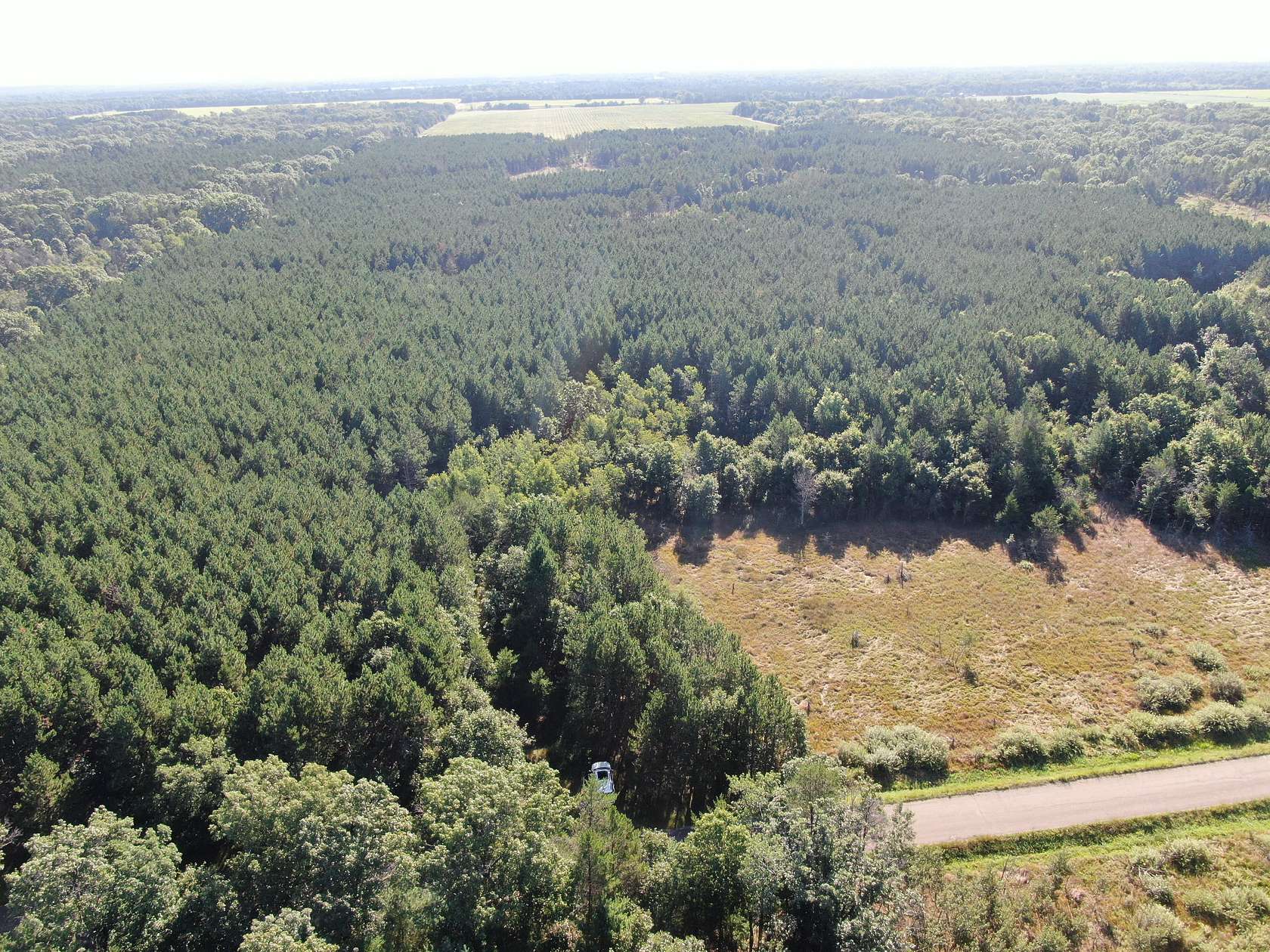 80 Acres of Land for Sale in Adams, Wisconsin