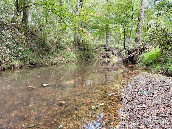 212 Acres of Recreational Land & Farm for Sale in Louisville, Mississippi
