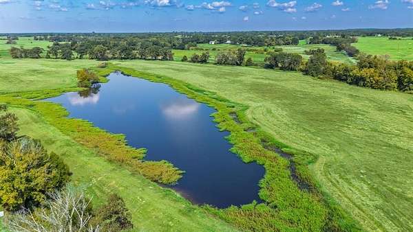 31.7 Acres of Recreational Land for Sale in Brashear, Texas